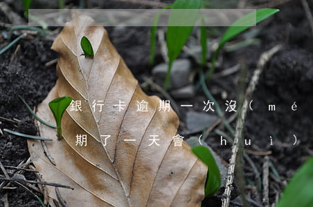 銀行卡逾期一次沒(méi)事吧(銀行卡逾期了一天會(huì)有影響嗎)
