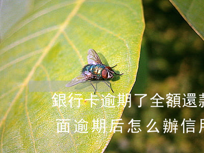 銀行卡逾期了 全額還款可以免利息嗎（銀行全面逾期后怎么辦信用卡）