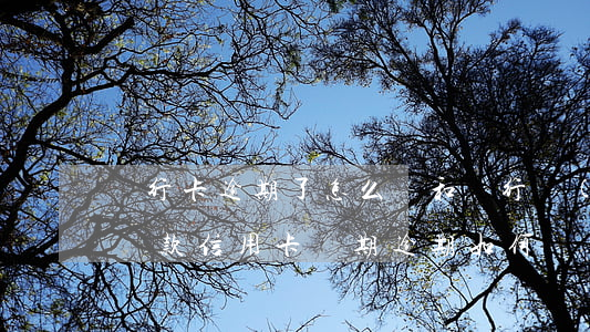 銀行卡逾期了,怎么樣和銀行協(xié)商還款（信用卡長期逾期如何與銀行協(xié)商）