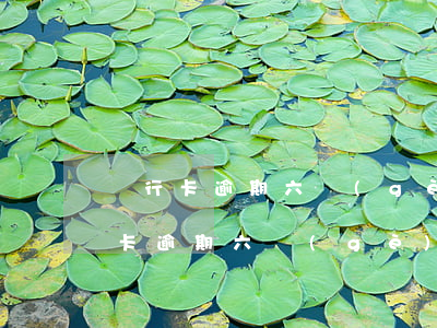銀行卡逾期六個(gè)月怎么處理-銀行卡逾期六個(gè)月怎么處理最好
