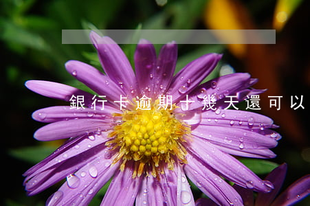 銀行卡逾期十幾天還可以用嗎