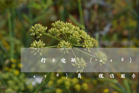 銀行卡逾期協(xié)商還款(到銀行協(xié)商處理信用卡逾期還款銀行有權(quán)拘留?)