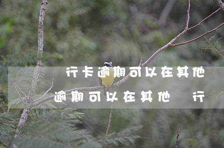 銀行卡逾期可以在其他銀行辦卡嗎-銀行卡逾期可以在其他銀行辦卡嗎安全嗎