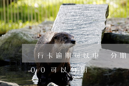 銀行卡逾期可以申請分期嗎（信用卡逾期5000可以分期嗎）
