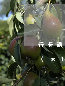 銀行卡逾期可以辦嗎-銀行卡逾期可以辦嗎現(xiàn)在