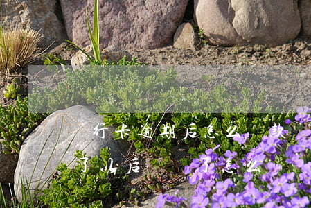 銀行卡逾期后怎么還款(銀行信用卡逾期錢還了以后凍結了怎么辦)