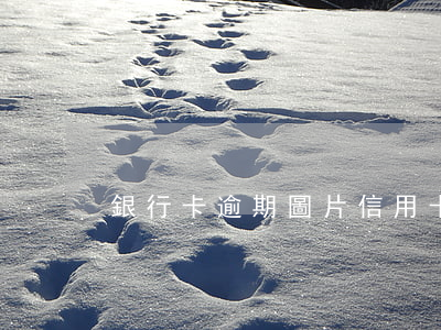銀行卡逾期圖片（信用卡逾期視頻圖片）