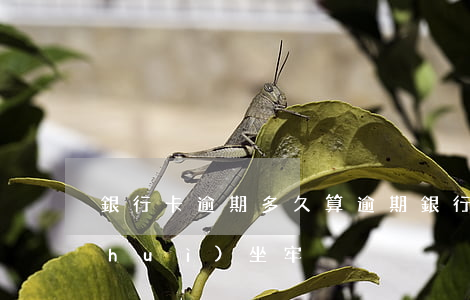 銀行卡逾期多久算逾期（銀行卡逾期多少會(huì)坐牢）