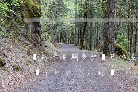 銀行卡逾期多少錢可以立案(銀行卡逾期多久會(huì)起訴)