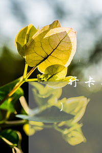 銀行卡逾期多長(zhǎng)時(shí)間會(huì)起訴(欠銀行信用卡逾期多久會(huì)被起訴)