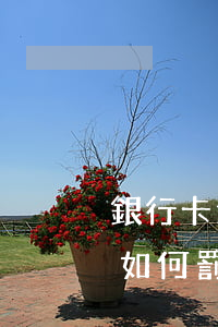 銀行卡逾期怎么收費(fèi)（銀行卡逾期如何罰款）