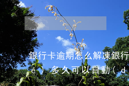 銀行卡逾期怎么解凍(銀行卡逾期凍結(jié)多久可以自動(dòng)解除)