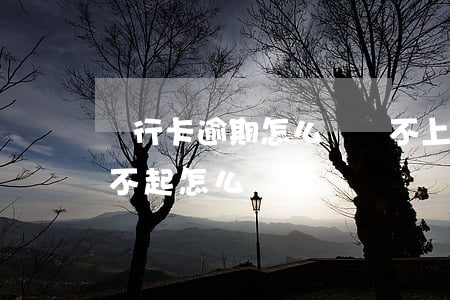 銀行卡逾期怎么辦,還不上（南平信用卡逾期還不起怎么辦）