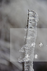 銀行卡逾期收到律師函（信用卡逾期律師函要不要簽收）