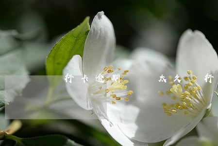 銀行卡逾期時間太久(銀行卡逾期太久怎么辦)