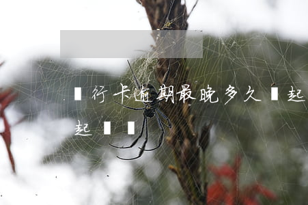 銀行卡逾期最晚多久會起訴(銀行卡逾期會被起訴嗎)
