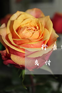銀行卡逾期會(huì)扣支付寶里的錢嗎(支付寶逾期卡里錢被扣了)