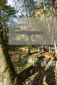 銀行卡逾期會(huì)被起訴刑拘么(銀行卡逾期不還是否會(huì)坐牢)