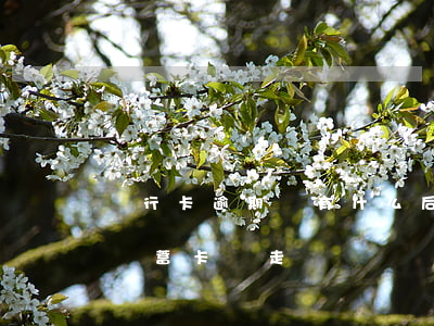 銀行卡逾期會有什么后果（信用卡逾期會影響儲蓄卡劃走）