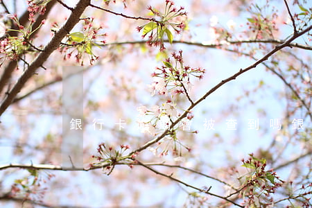 銀行卡逾期會被查到嗎(銀行卡逾期影響)
