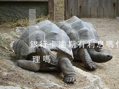 銀行卡逾期有利息嗎（信用卡逾期利息收取合理嗎）
