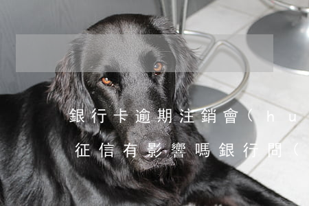 銀行卡逾期注銷會(huì)對(duì)征信有影響嗎(銀行問(wèn)題導(dǎo)致征信逾期能撤銷嗎)