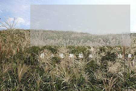 銀行卡逾期能出國嗎（信用卡逾期不能國外游）