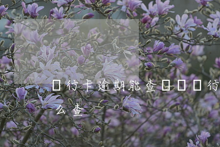 銀行卡逾期能查詢嗎 銀行卡逾期能查詢嗎怎么查