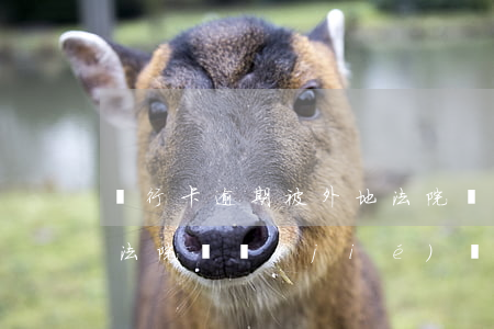 銀行卡逾期被外地法院凍結(jié)(異地法院凍結(jié)銀行卡)