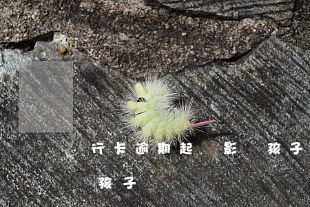 銀行卡逾期起訴影響孩子(銀行卡逾期起訴影響孩子)