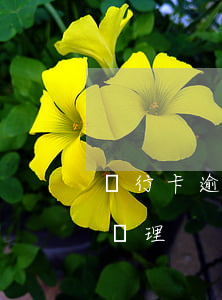 銀行卡逾期還款怎么處理(銀行欠款逾期怎么處理)