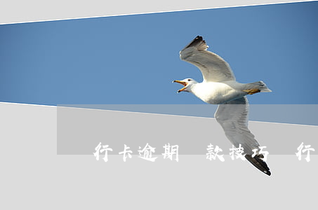 銀行卡逾期還款技巧(銀行卡逾期還款技巧視頻)
