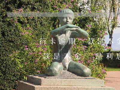 銀行卡逾期還款是本金還是利息(銀行卡逾期還款是本金還是利息怎么算)