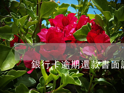 銀行卡逾期還款書面說明(銀行逾期告知書)