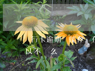 銀行卡逾期還能存錢在里面嗎（銀行卡逾期可以不換么）