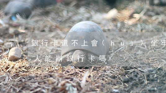 銀行卡還不上會(huì)坐牢嗎(坐過牢的人能辦銀行卡嗎)