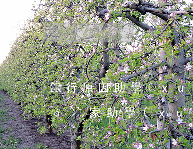 銀行原因助學(xué)貸款逾期(國(guó)家助學(xué)貸款逾期了對(duì)信用影響)