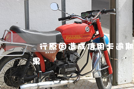 銀行原因造成信用卡逾期(銀行信用卡逾期后果)