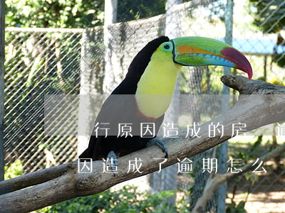 銀行原因造成的房貸逾期(如果由于銀行的原因造成了逾期怎么辦)