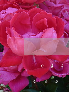 銀行原因造成的逾期怎么處理（銀行原因造成的逾期）