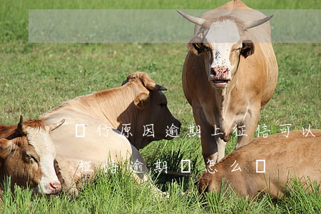銀行原因逾期上征信可以起訴嗎(銀行導致的征信逾期,該怎么辦)