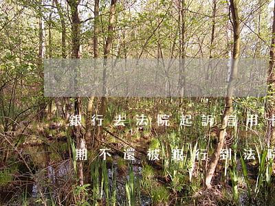 銀行去法院起訴信用卡逾期怎么辦（信用卡逾期不還被銀行到法院后）