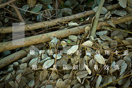 銀行去法院起訴信用卡逾期怎么辦（信用卡逾期后反訴銀行有效嗎）