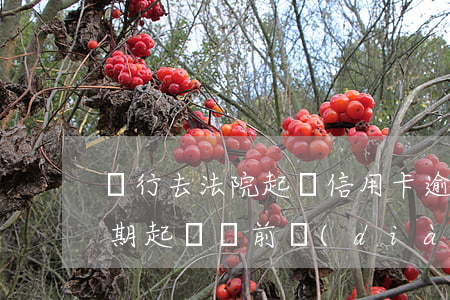 銀行去法院起訴信用卡逾期怎么辦（信用卡逾期起訴訴前調(diào)解書）
