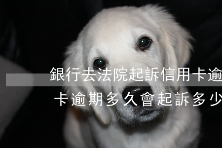 銀行去法院起訴信用卡逾期怎么辦（銀行信用卡逾期多久會起訴多少錢以上起訴）