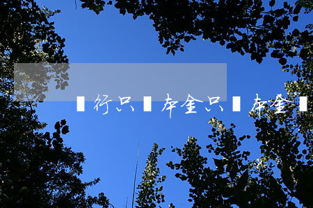 銀行只還本金（只還本金還可以分期嗎）