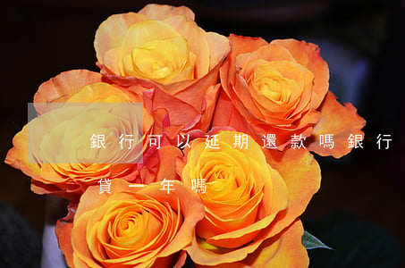 銀行可以延期還款嗎(銀行可以延期還款嗎房貸一年嗎)