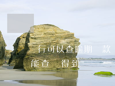 銀行可以查逾期貸款嗎(借了網貸逾期了銀行能查詢得到嗎?)