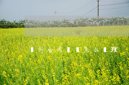 銀行合同糾紛怎么處理