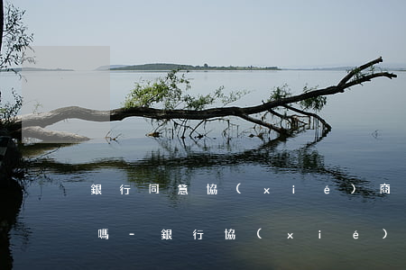 銀行同意協(xié)商還款還會上黑名單嗎-銀行協(xié)商還款會入征信黑名單嗎